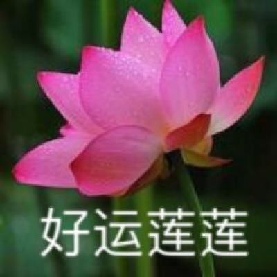 完美世界手游港版下载